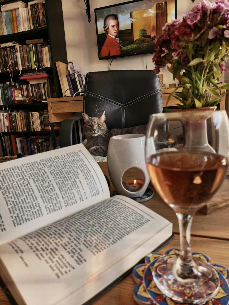 A cozy reading corner with a book, wine, and a cat at home.