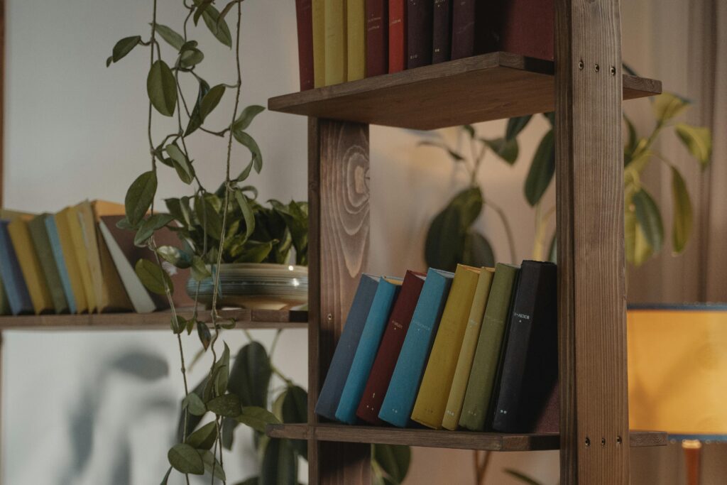 A cozy indoor scene with colorful books on a wooden bookshelf, perfect for interior design concepts.